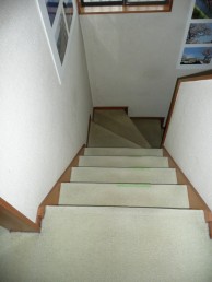 P1030577-e1716529102116